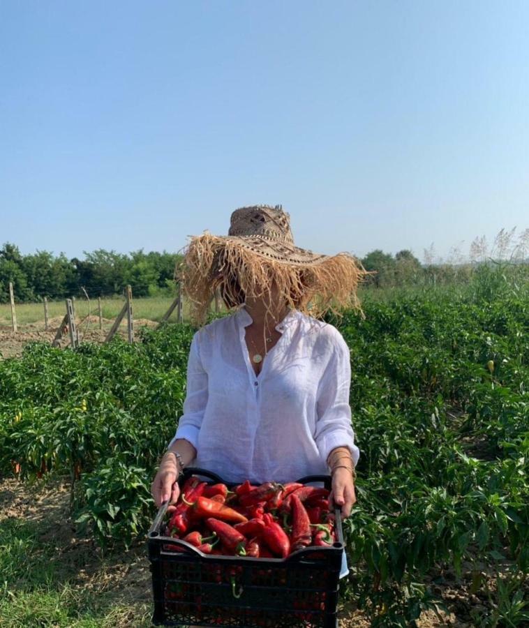 Agroturizem Gjepali Otel Shijak Dış mekan fotoğraf